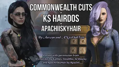 辐射4-英联邦发型-KS发型-ApachiiSkyHair-奇游Mod大师