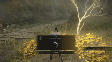 艾尔登法环-埃尔登戒指物品和敌人随机化器-奇游Mod大师