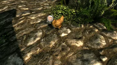 星空-SFSE插件地址库-奇游Mod大师