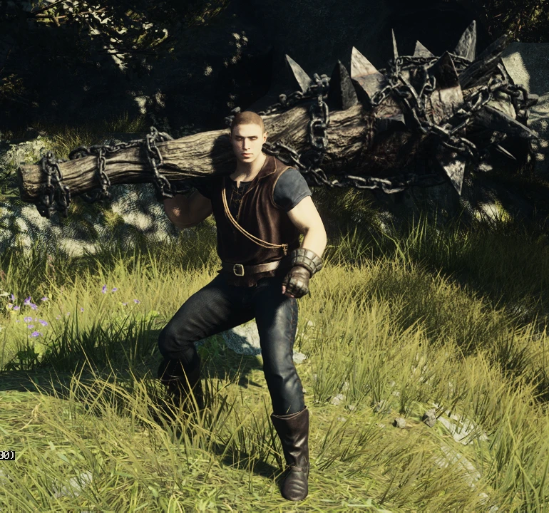 龙之信条2 转化-5-奇游Mod大师