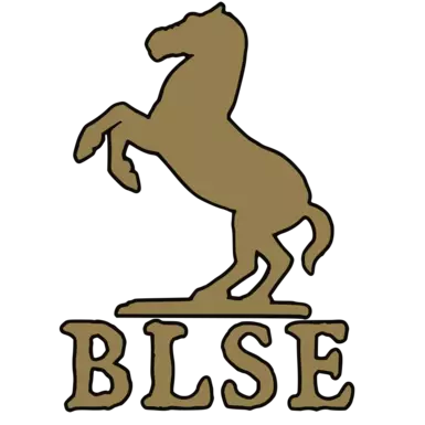 骑马与砍杀2:霸主-Bannerlord软件扩展器（BLSE）-奇游Mod大师