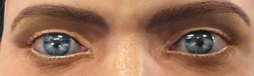 辐射4 美丽之眼辐射版-8-奇游Mod大师