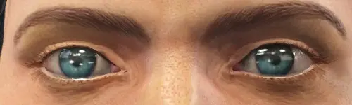 辐射4 美丽之眼辐射版-6-奇游Mod大师