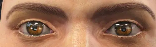 辐射4 美丽之眼辐射版-5-奇游Mod大师