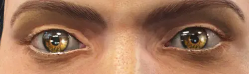 辐射4 美丽之眼辐射版-4-奇游Mod大师