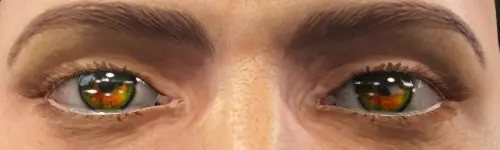 辐射4 美丽之眼辐射版-3-奇游Mod大师