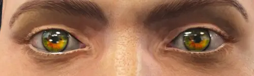 辐射4 美丽之眼辐射版-2-奇游Mod大师