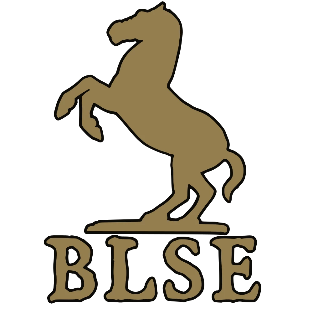 骑马与砍杀2:霸主 Bannerlord软件扩展器（BLSE）-1-奇游Mod大师