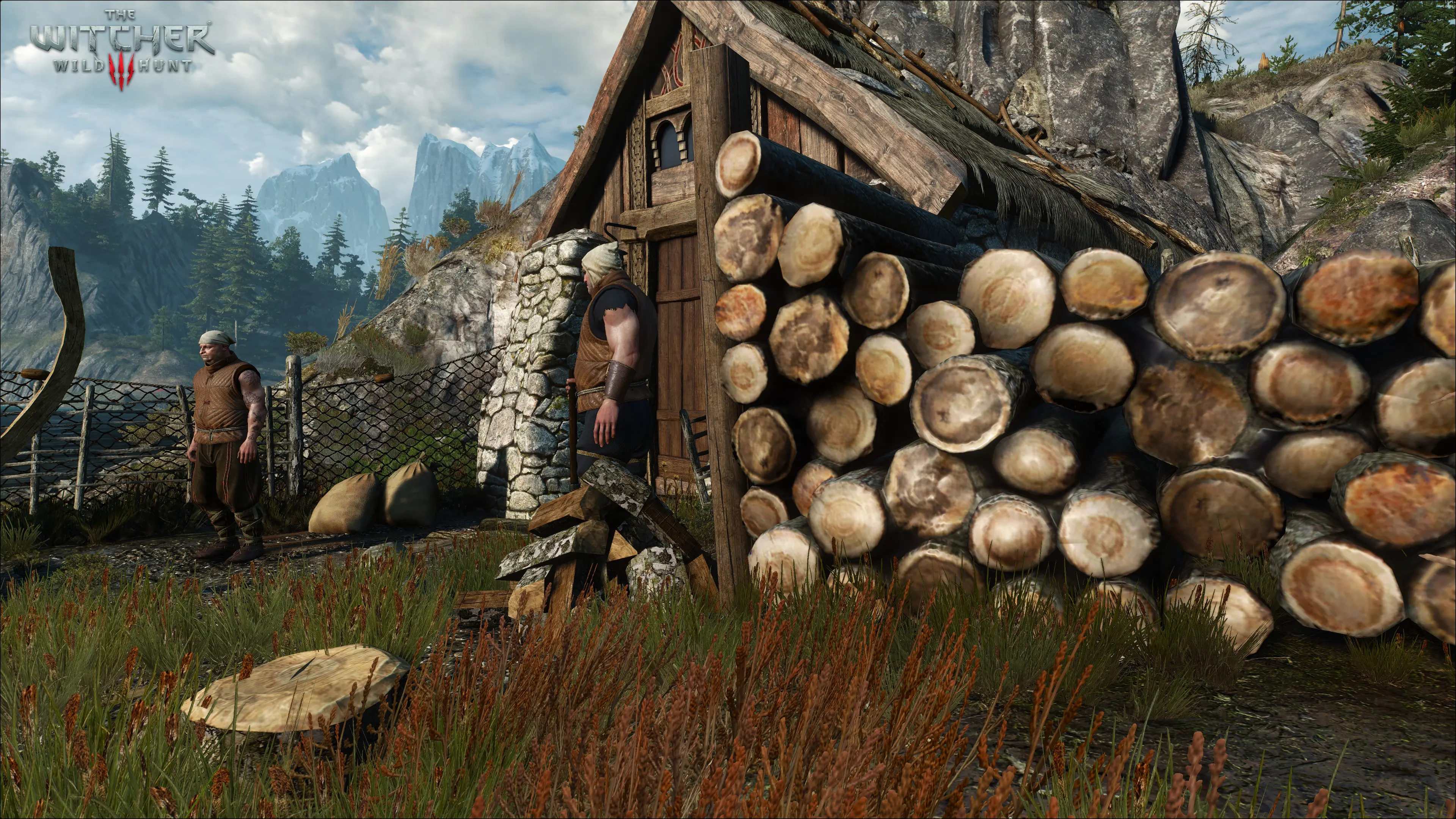 巫师3:狂猎 巫师3 HD改造项目老版-7-奇游Mod大师