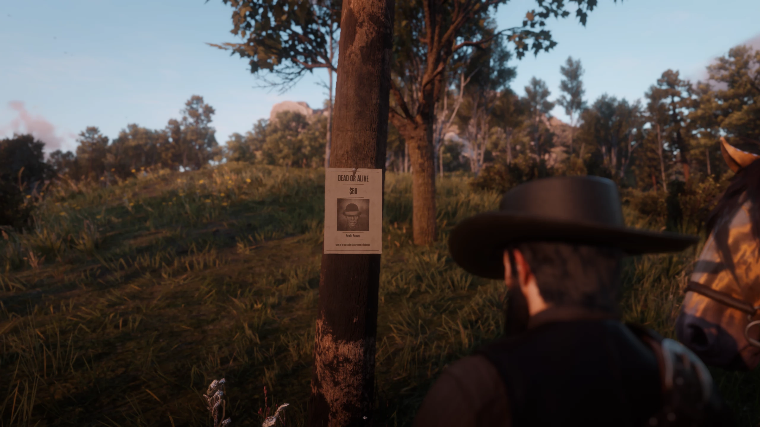 荒野大镖客:救赎2 赏金狩猎-扩展和增强-7-奇游Mod大师