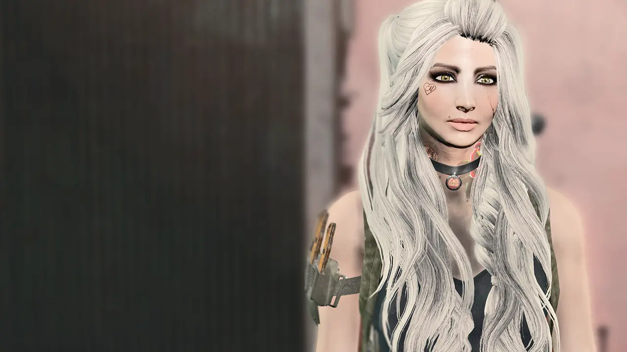 辐射4 英联邦发型-KS发型-ApachiiSkyHair-8-奇游Mod大师