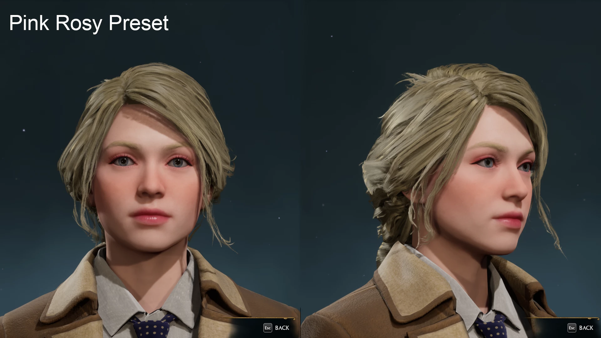 霍格沃茨之遗 学校化妆-2-奇游Mod大师