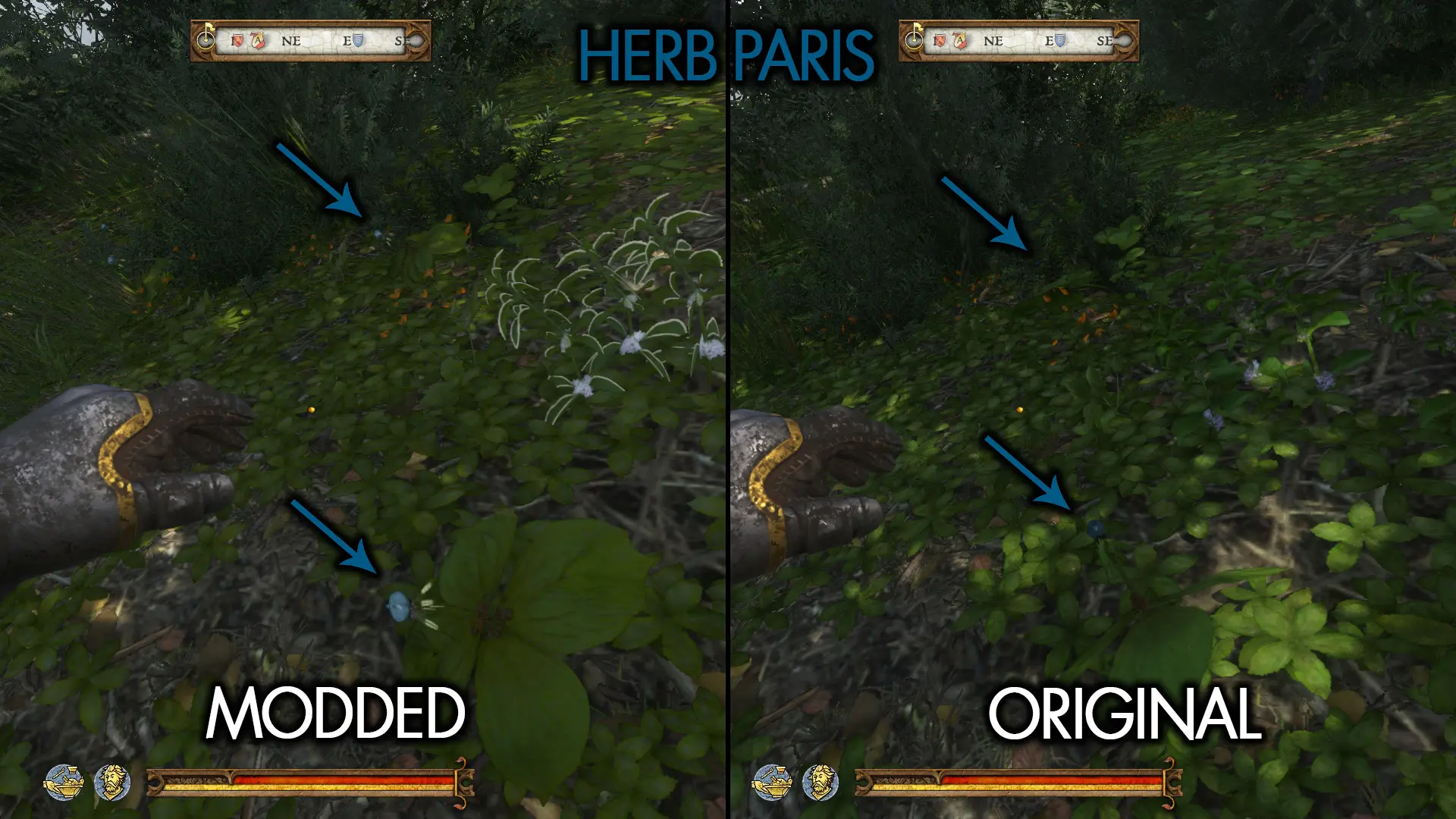 天国：拯救 易于看到的草药-4-奇游Mod大师