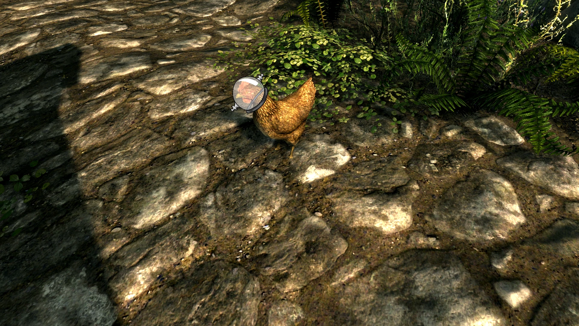 星空 SFSE插件地址库-1-奇游Mod大师