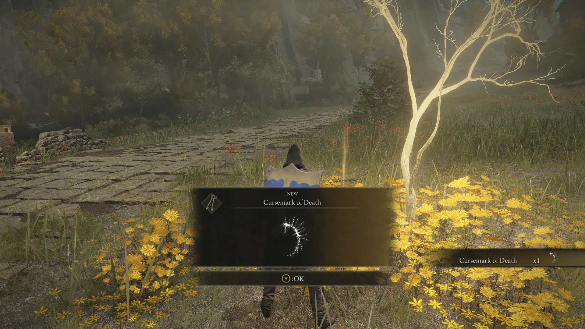 艾尔登法环 埃尔登戒指物品和敌人随机化器-5-奇游Mod大师