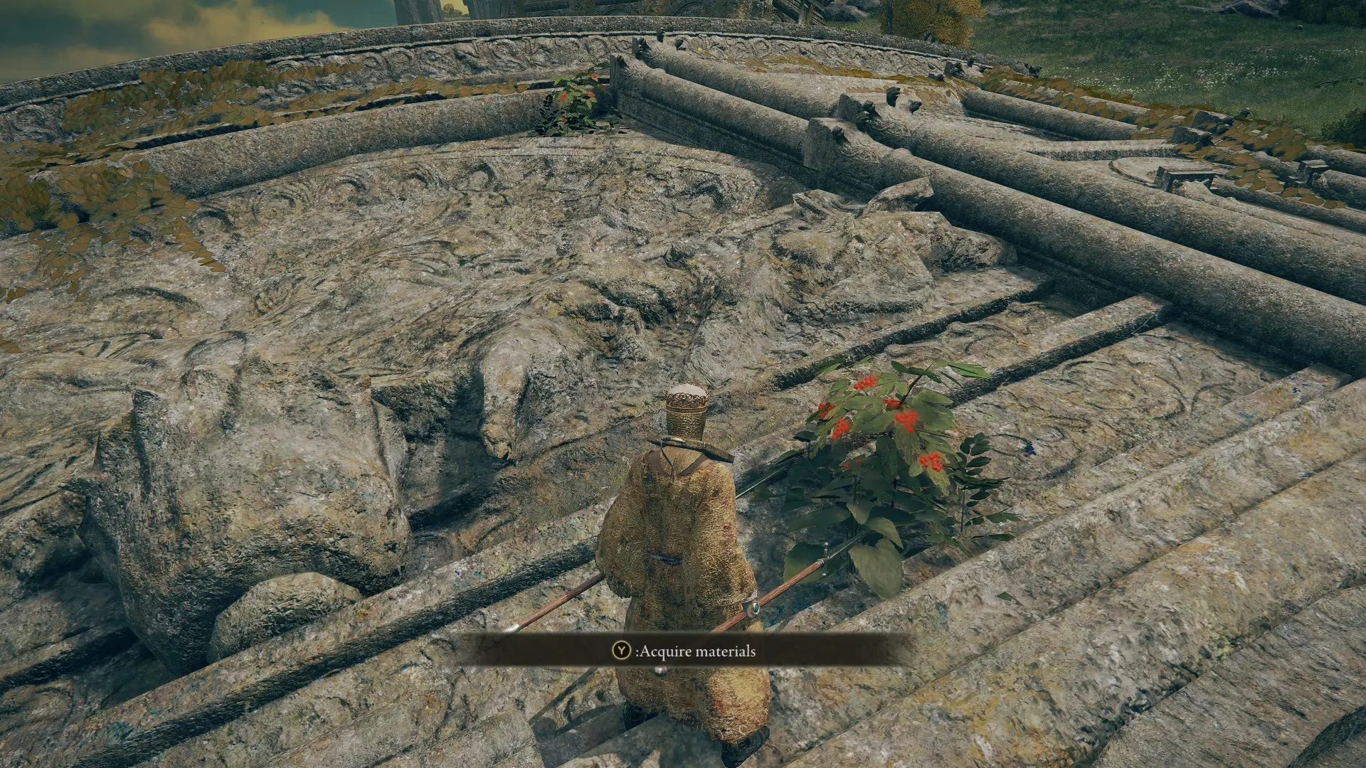 艾尔登法环 埃尔登戒指物品和敌人随机化器-4-奇游Mod大师