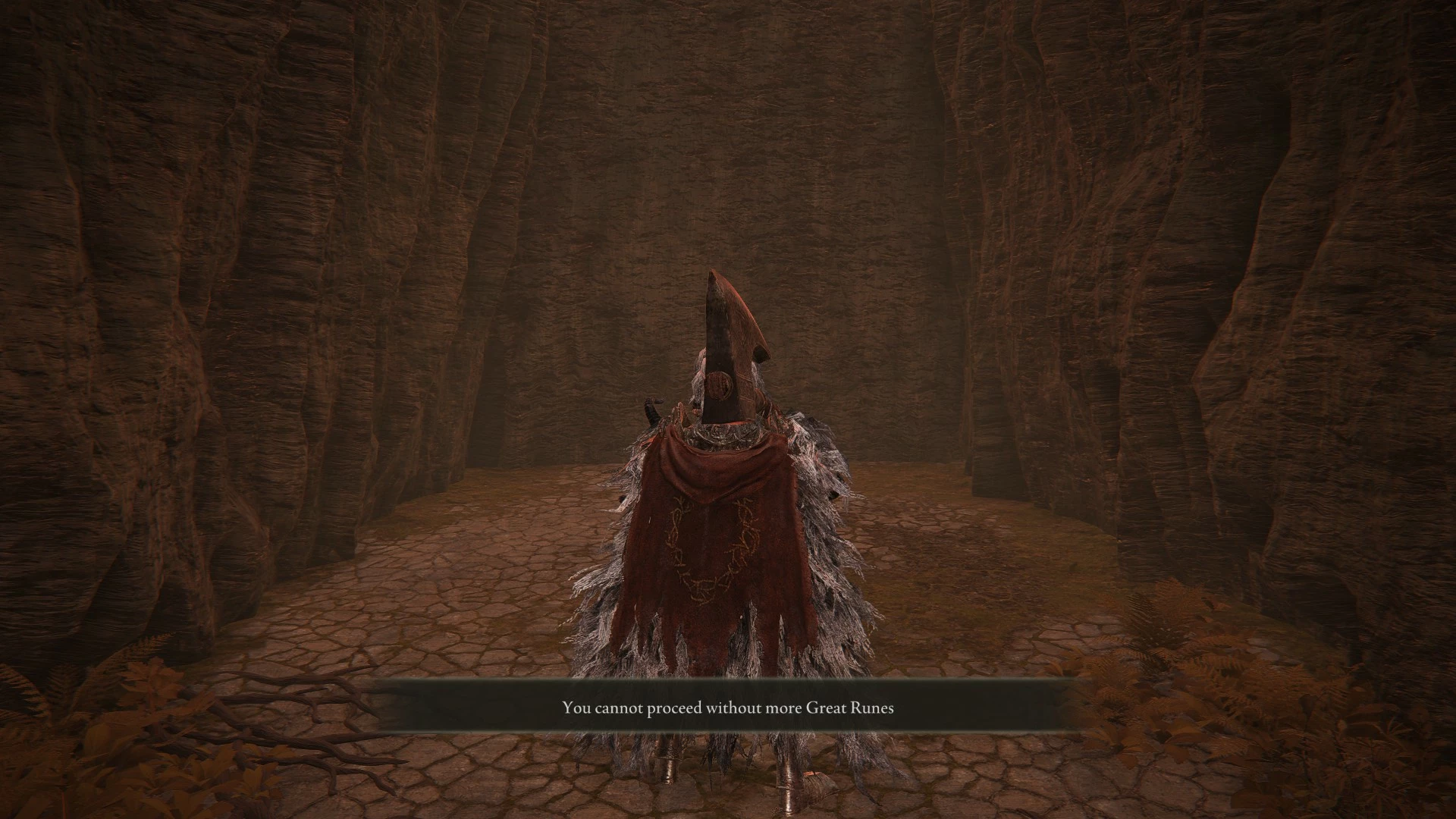 艾尔登法环 埃尔登戒指物品和敌人随机化器-7-奇游Mod大师