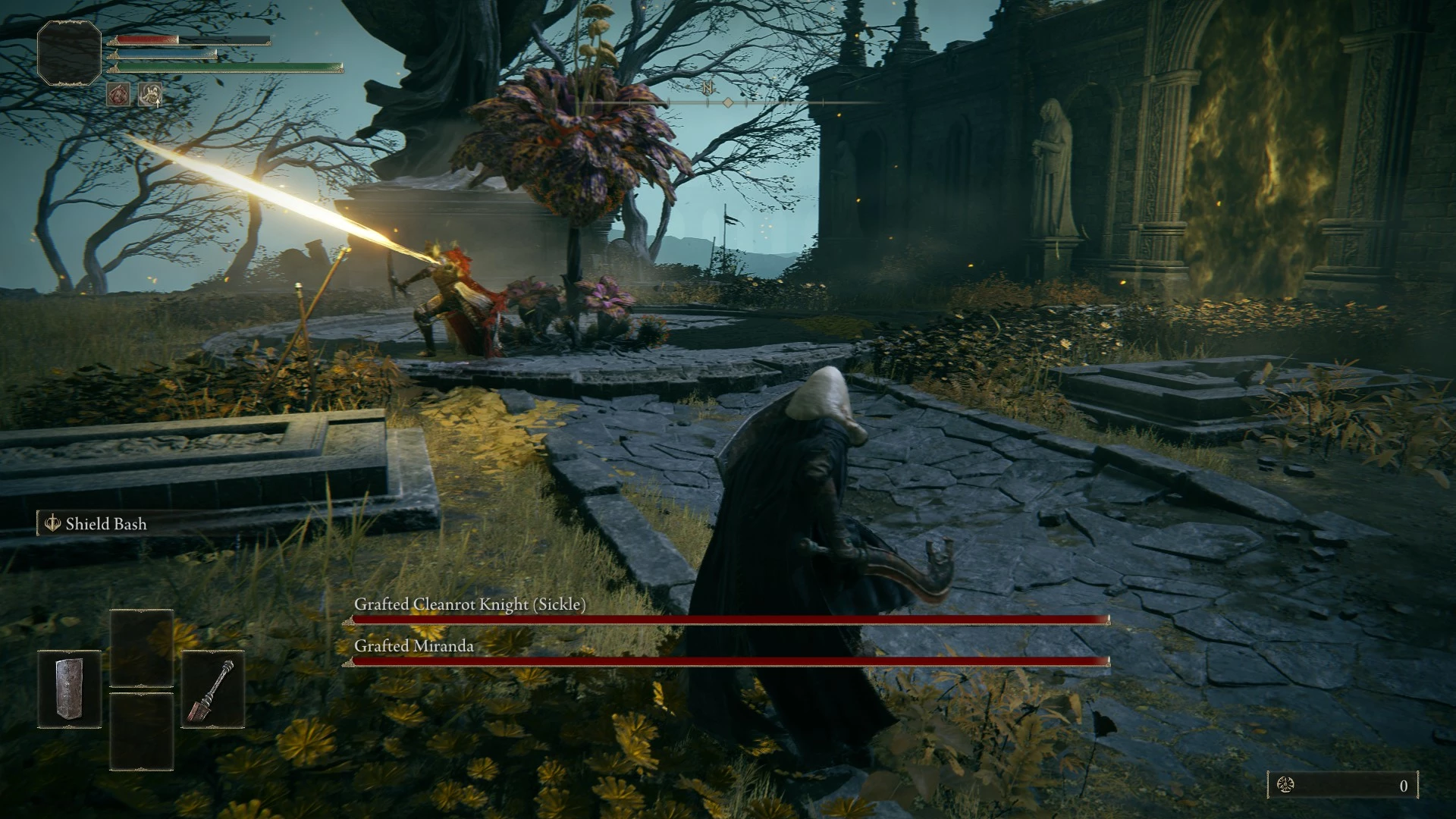 艾尔登法环 埃尔登戒指物品和敌人随机化器-3-奇游Mod大师