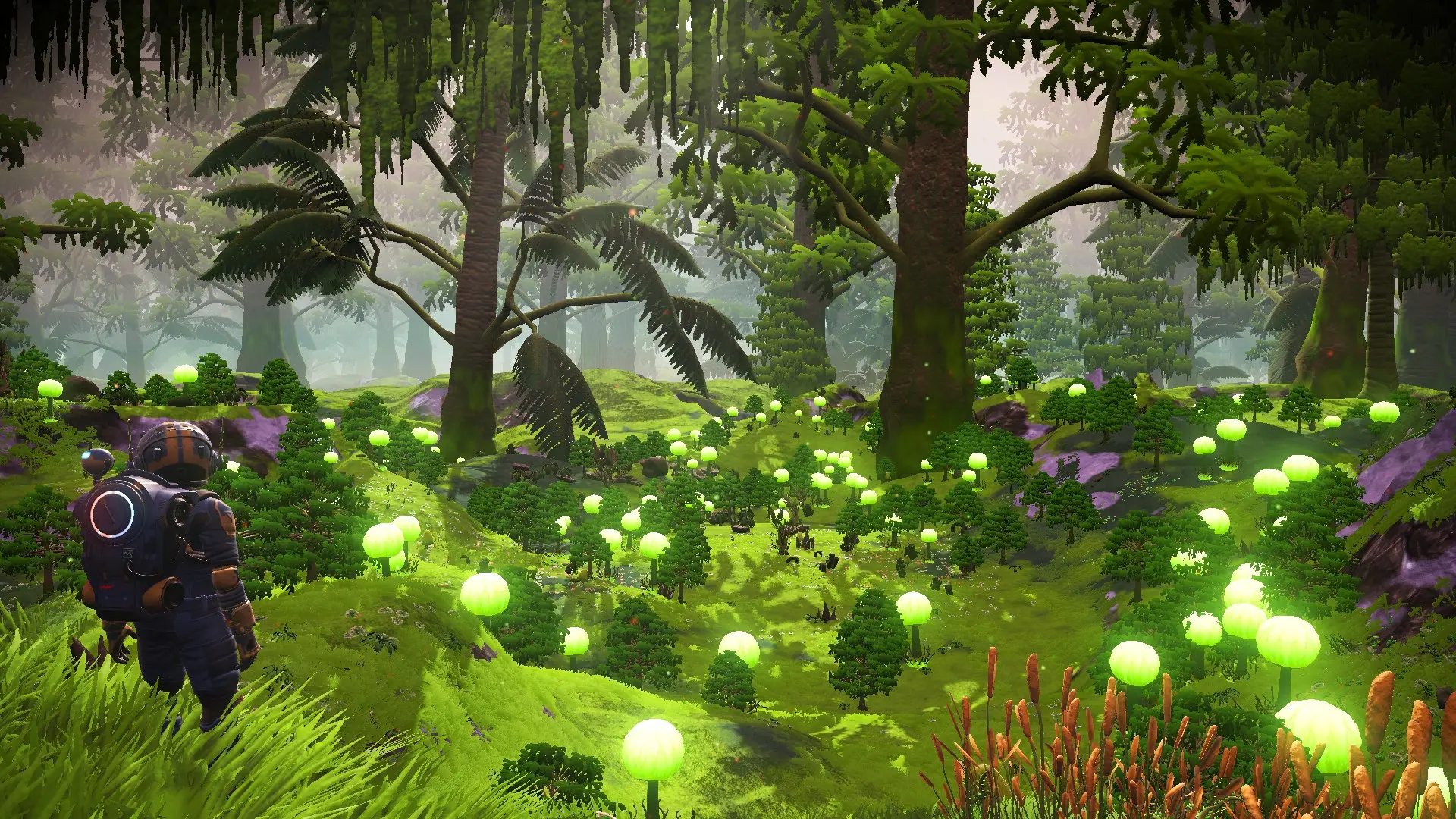 无人深空 更好的星球一代-6-奇游Mod大师