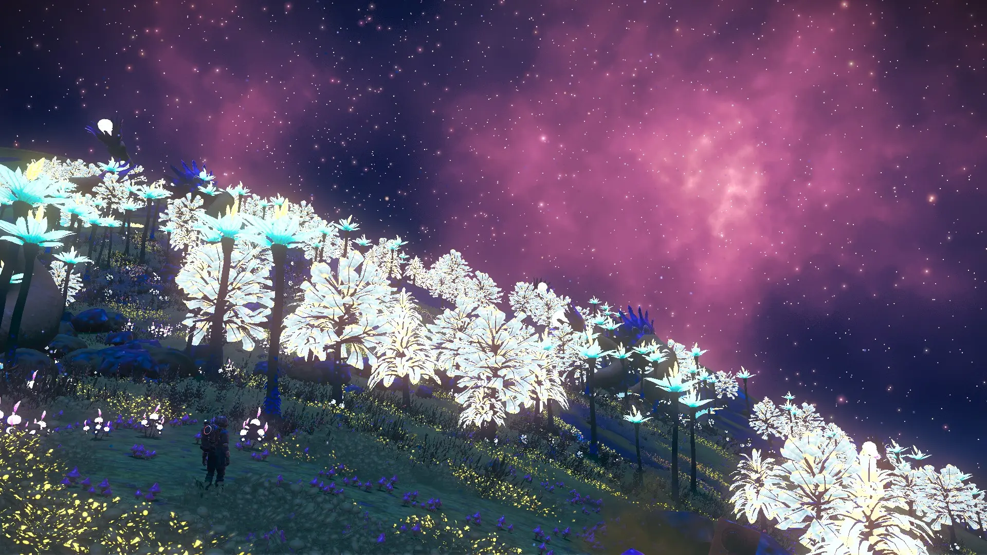 无人深空 更好的星球一代-5-奇游Mod大师