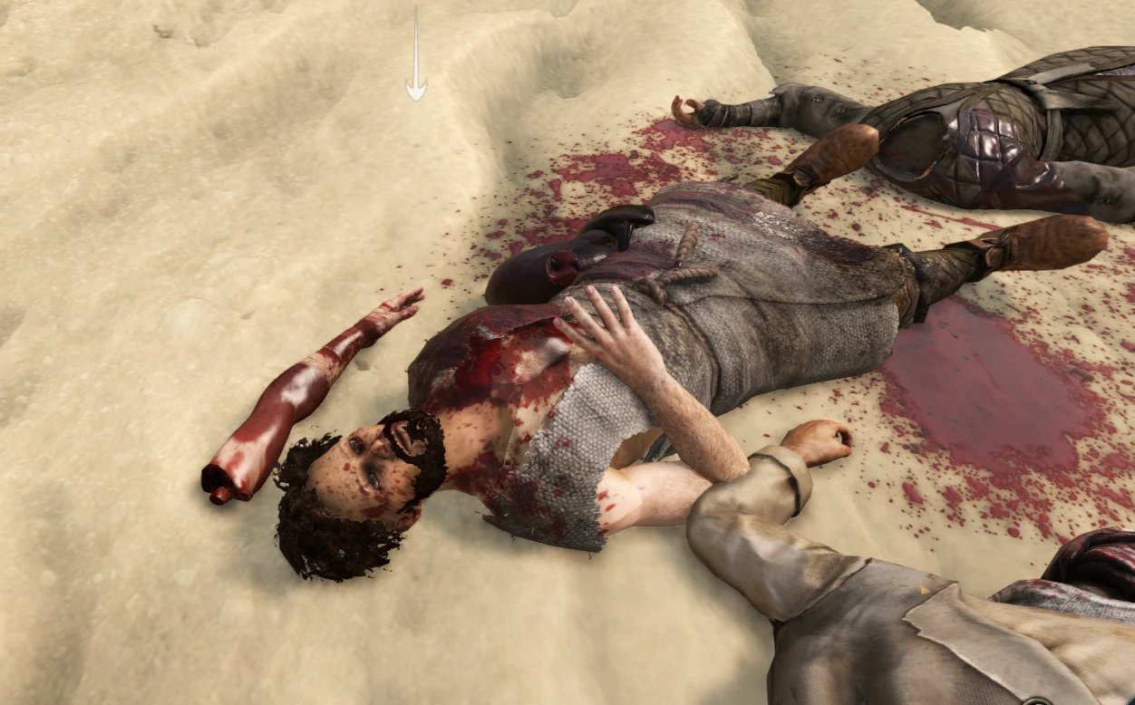 骑马与砍杀2:霸主 拆分Plus-6-奇游Mod大师