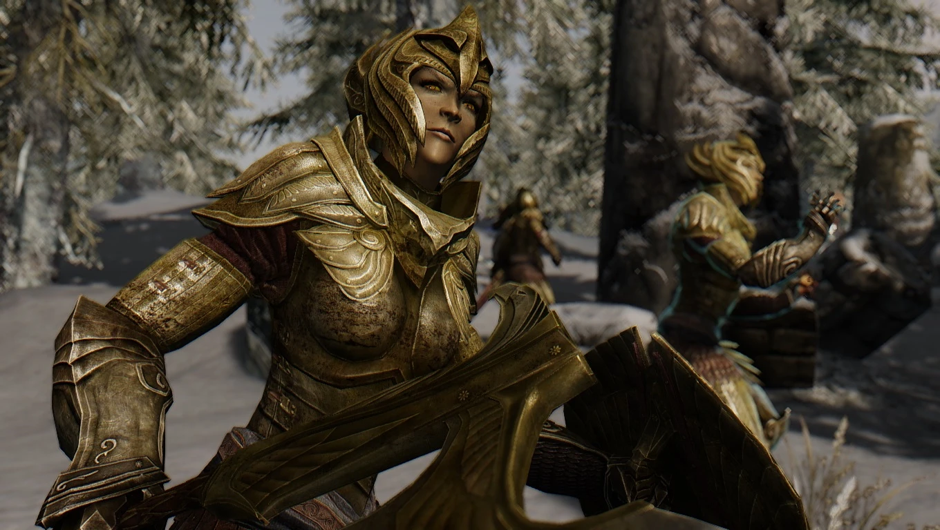 The Elder Scrolls V: Skyrim Special Edition Patrouilles immersives SE AE-4-modérateur lagofast