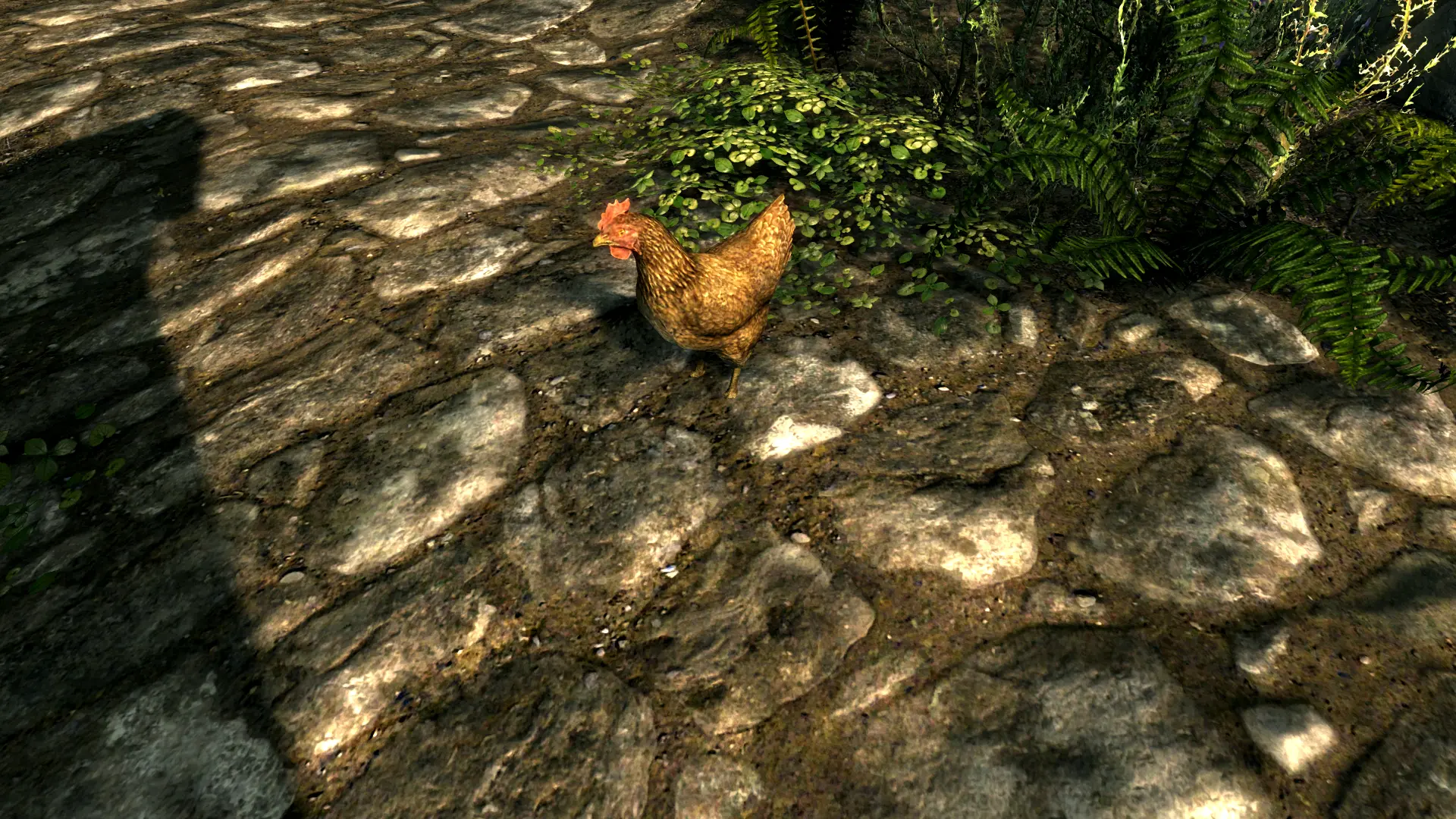 The Elder Scrolls V: Skyrim Special Edition-Address Library for SKSE Plugins-lagofast mod master