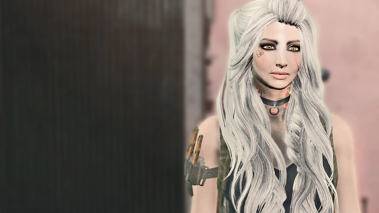 Fallout 4 Commonwealth Cuts - KS Hairdos - ApachiiSkyHair-8-lagofast mod master